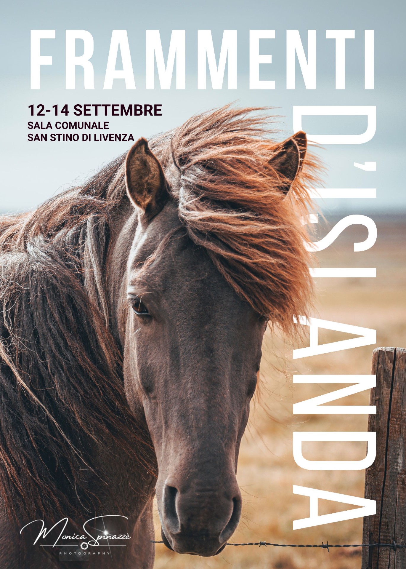 Frammenti d'Islanda